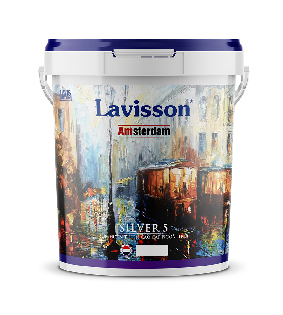 silver 5 Lavisson.com