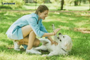 woman playing with dog in park 2022 01 19 00 15 50 utc Lavisson.com