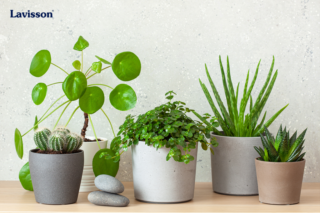 Sơn gốm hệ nước giải quyết triệt để những vấn đề nhà sản xuất gặp phải